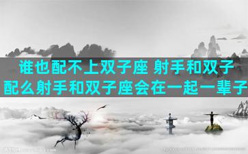 谁也配不上双子座 射手和双子配么射手和双子座会在一起一辈子